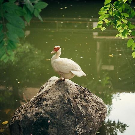Chompor Lanna Hotel Chiang Mai Ngoại thất bức ảnh