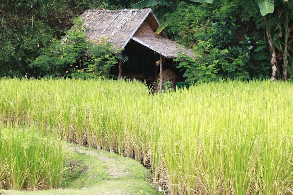 Chompor Lanna Hotel Chiang Mai Ngoại thất bức ảnh