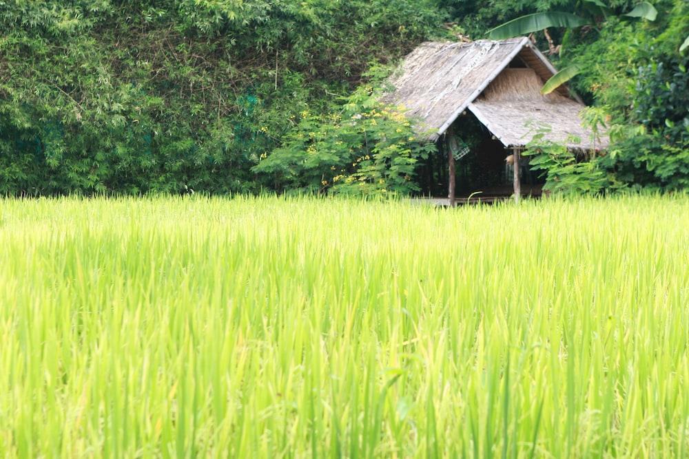 Chompor Lanna Hotel Chiang Mai Ngoại thất bức ảnh